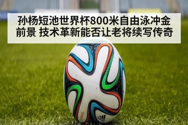 孙杨短池世界杯800米自由泳冲金前景 技术革新能否让老将续写传奇