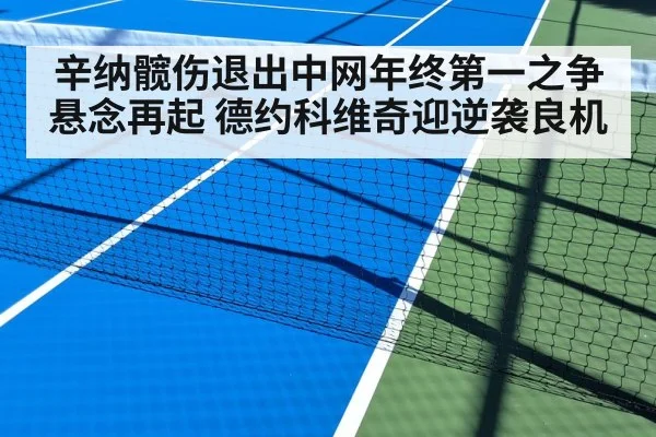 辛纳髋伤退出中网年终第一之争悬念再起 德约科维奇迎逆袭良机