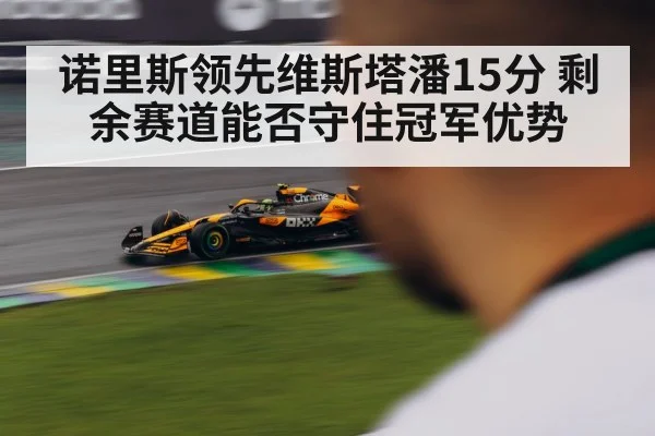 诺里斯领先维斯塔潘15分 剩余赛道能否守住冠军优势